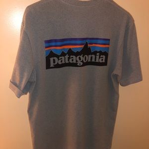 Patagonia tee